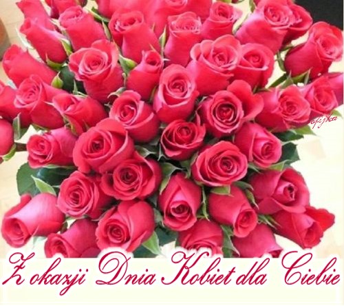 Mnóstwo różowych róż na dzień kobiet